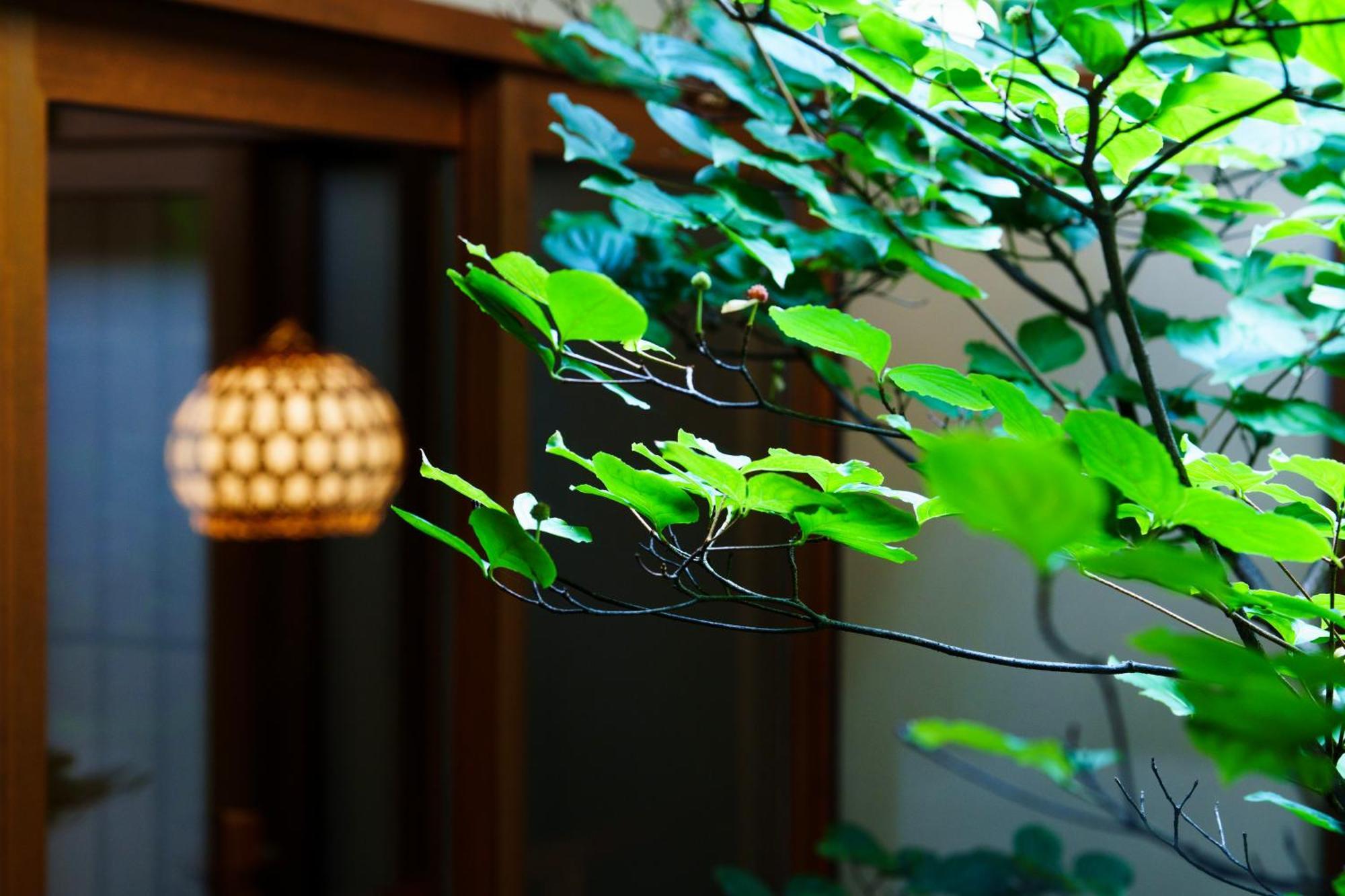 Hotori Villa Kyoto Eksteriør bilde